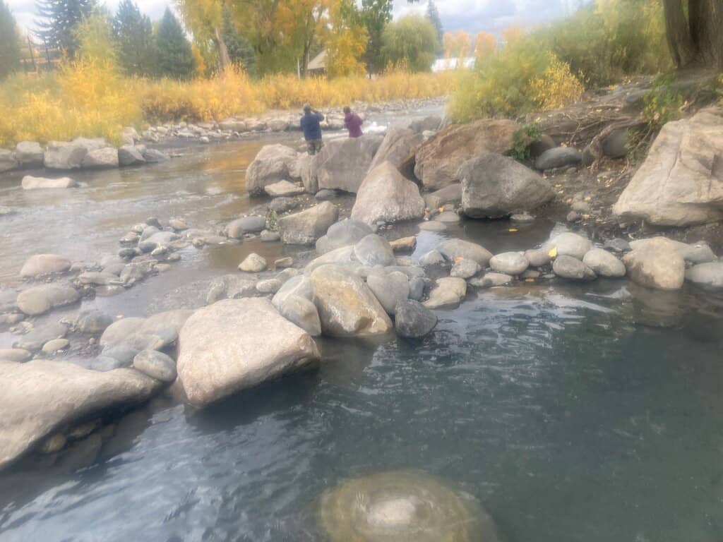 Vertical photo