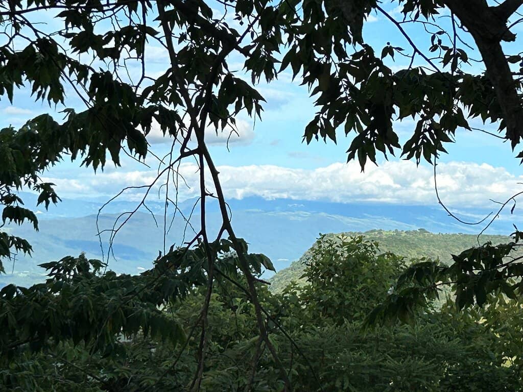 Stations of the Cross
