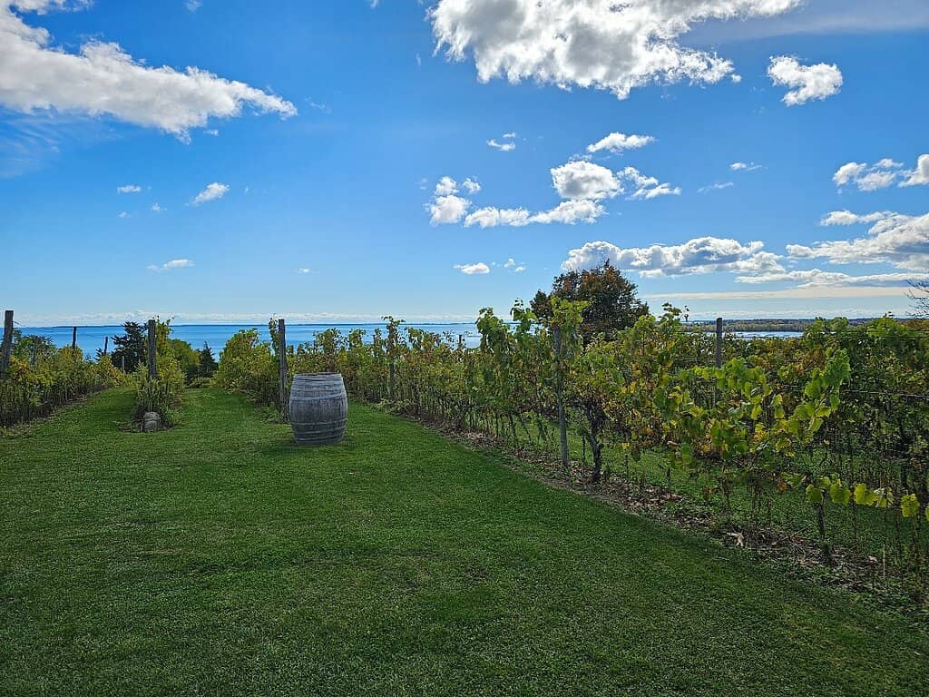 Lake Ontario Views