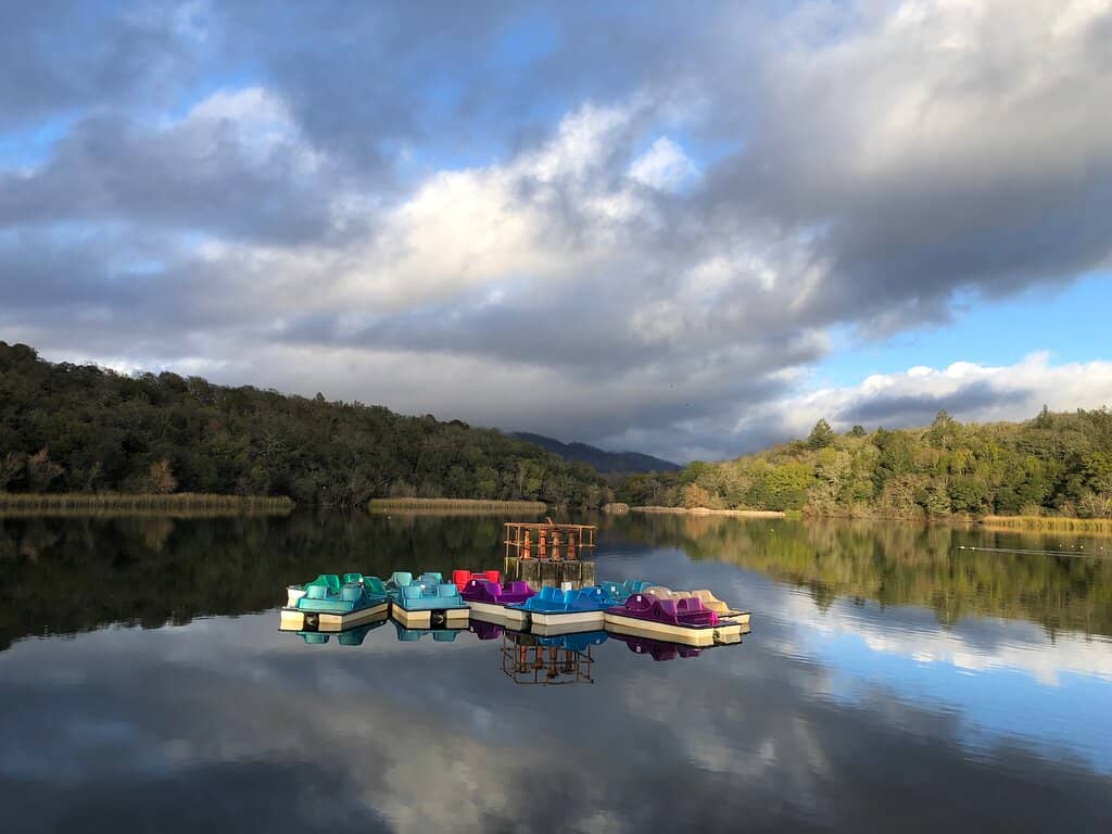 Whimsical Carousel Rides