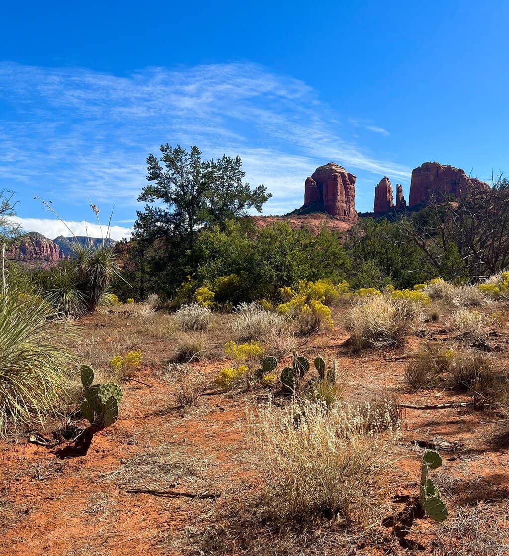 Crescent Moon Ranch Swimming Hole