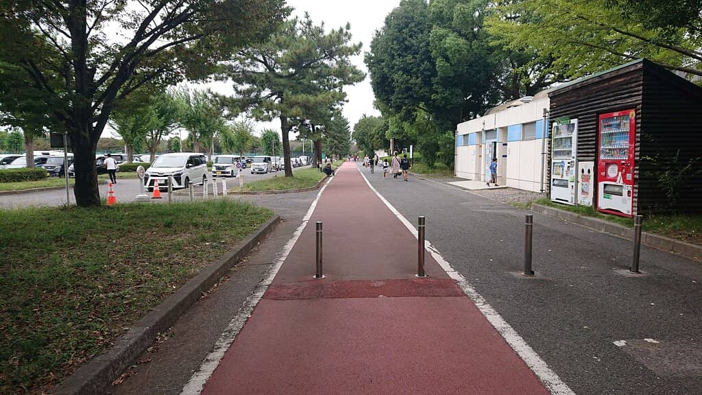 Family-Friendly Pools