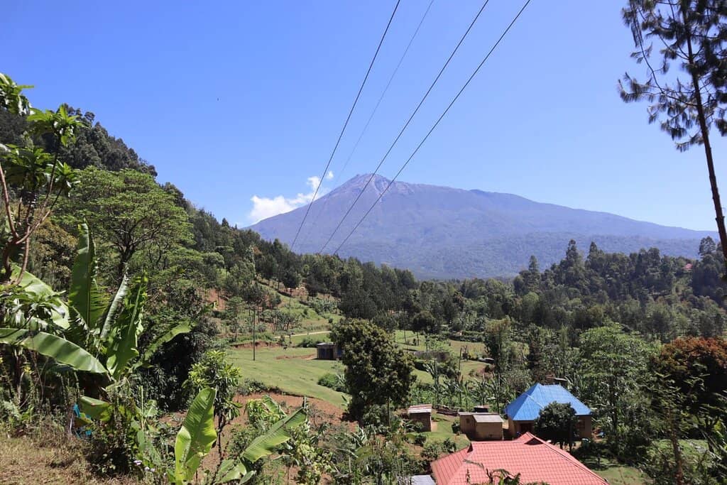 Traditional Dance Performances