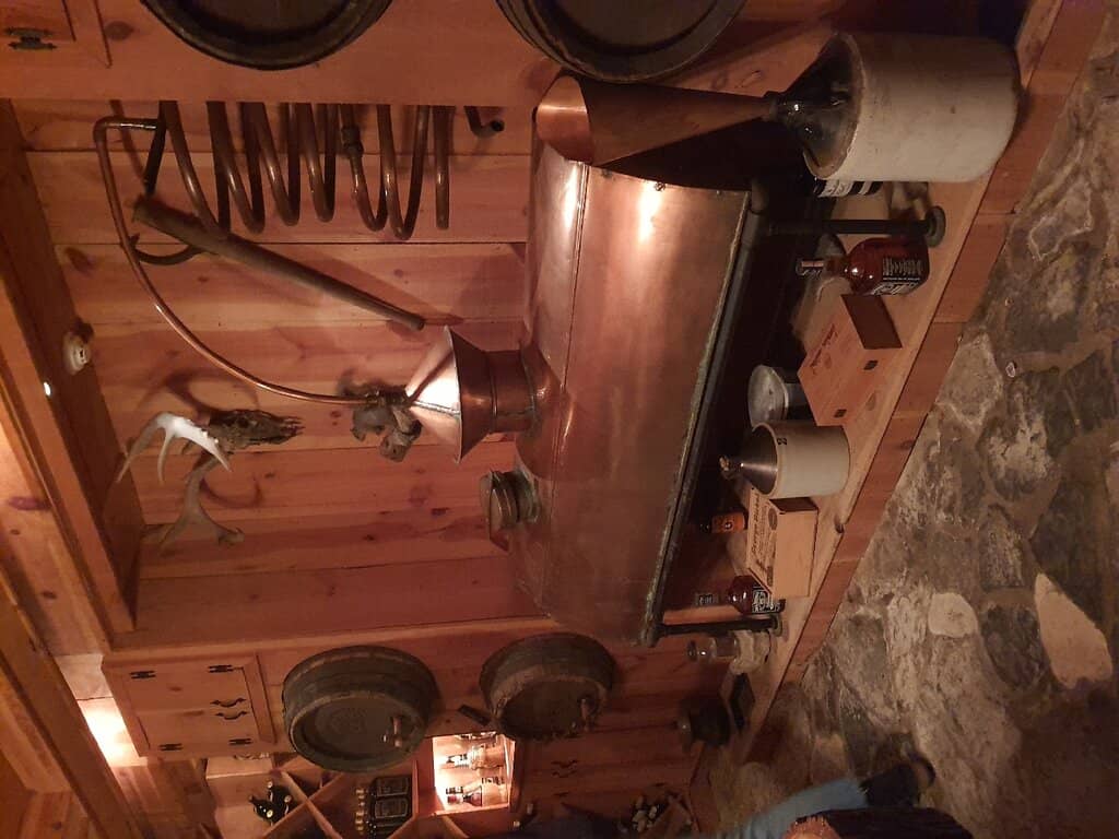 The Eccentric Collector's Home