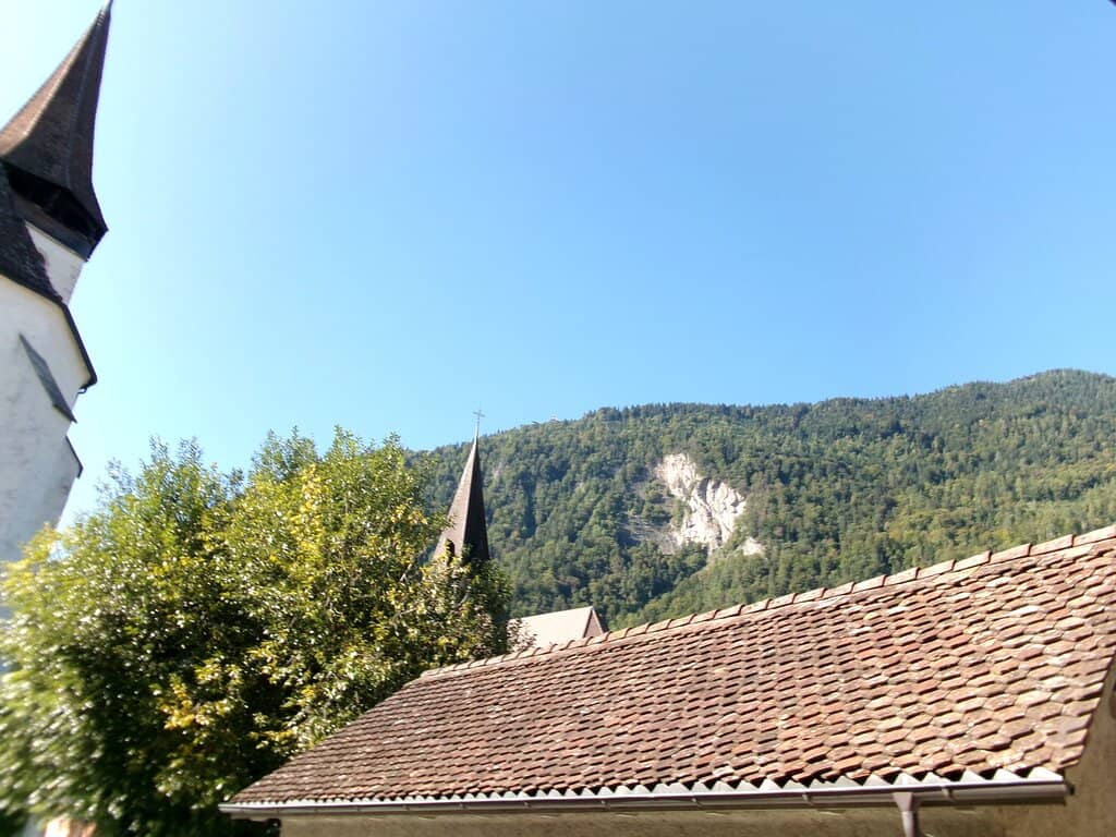 Vertical photo