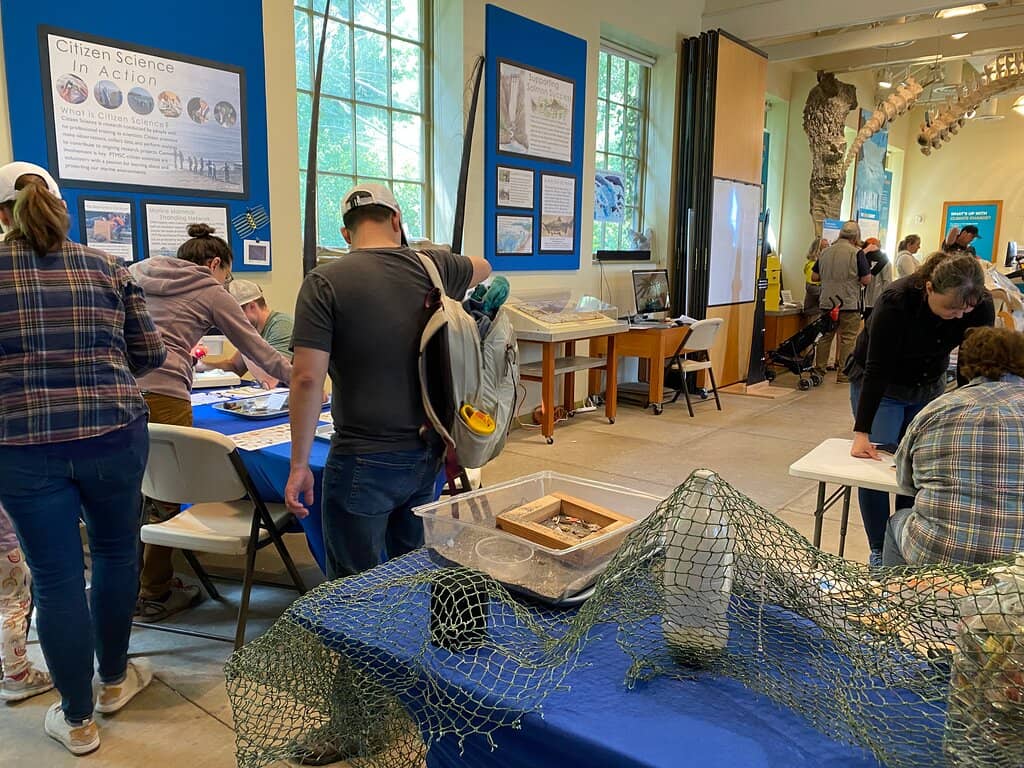 Interactive Tidepool Exploration