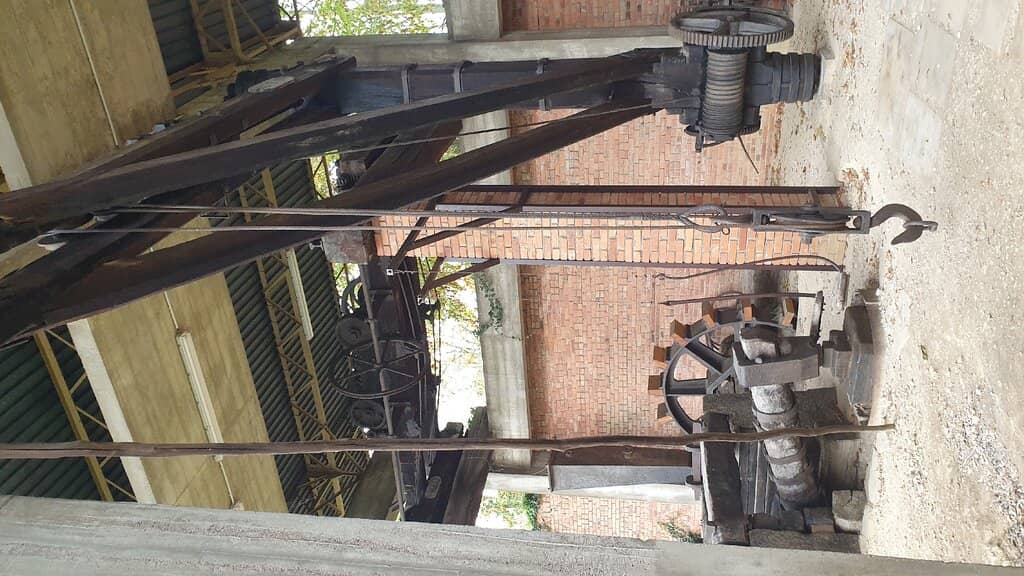 Vertical photo