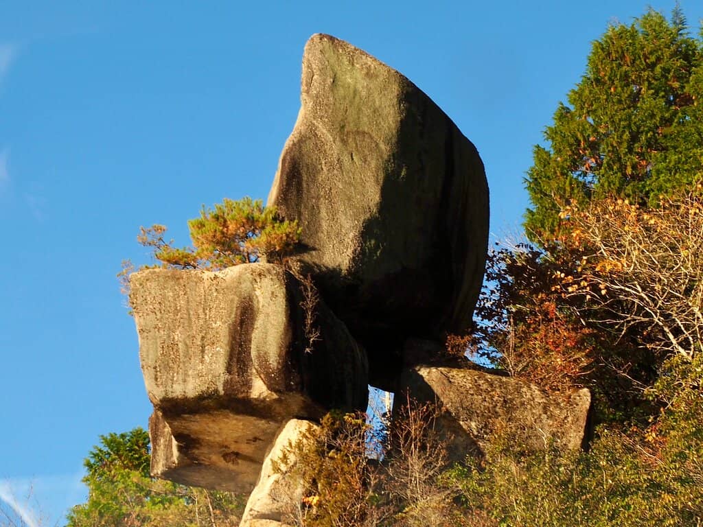 Vertical photo