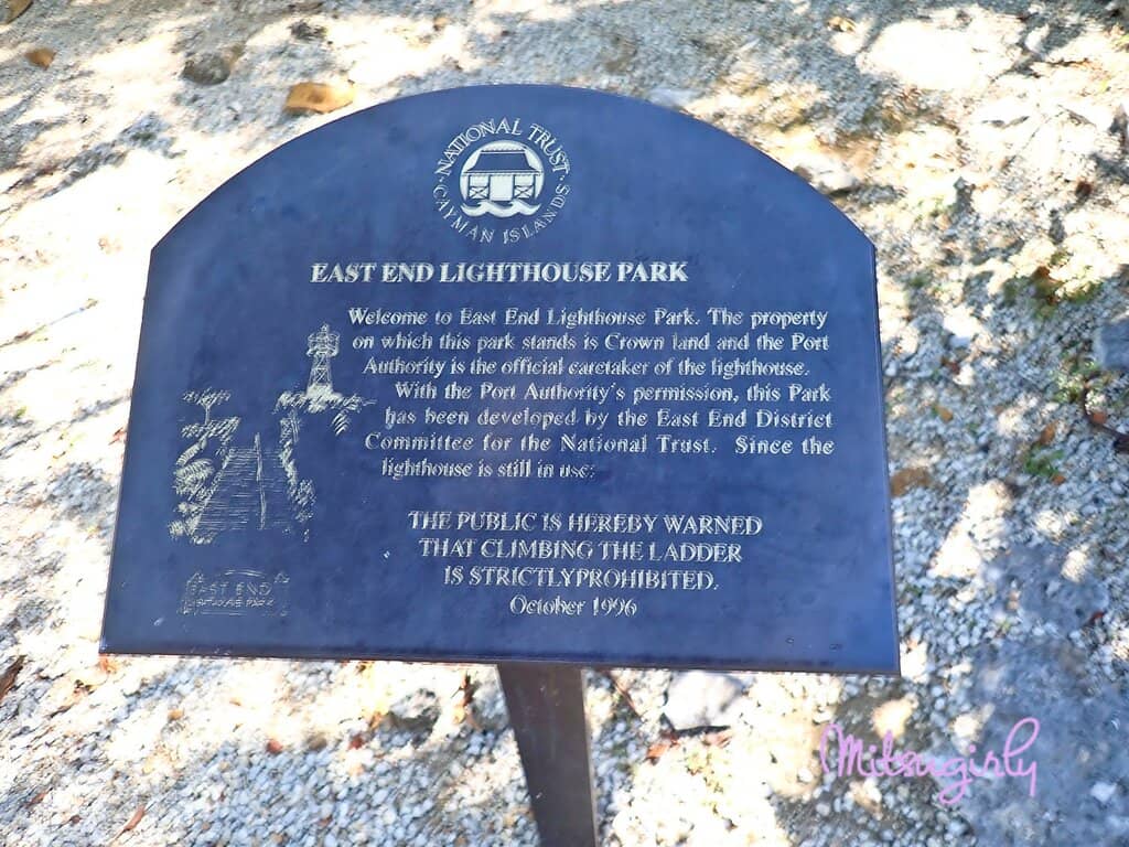 Cape Henlopen State Park Views