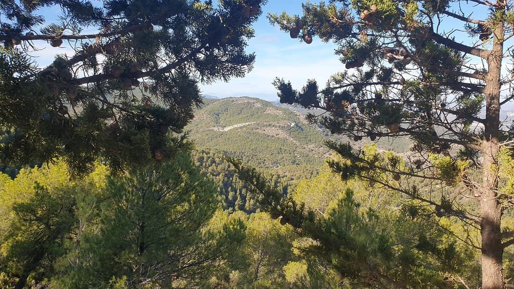 Mountain Biking Routes