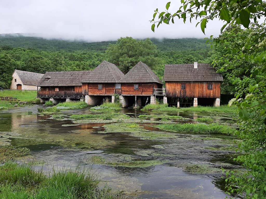 Local Products & Food