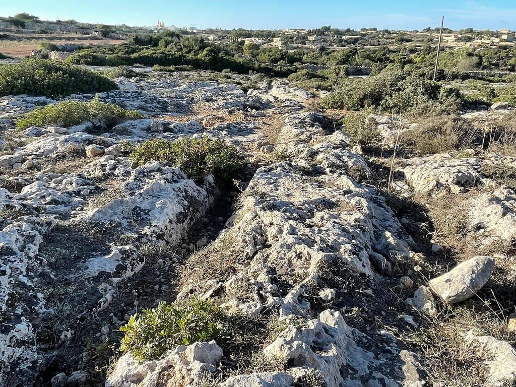 Intersecting Networks