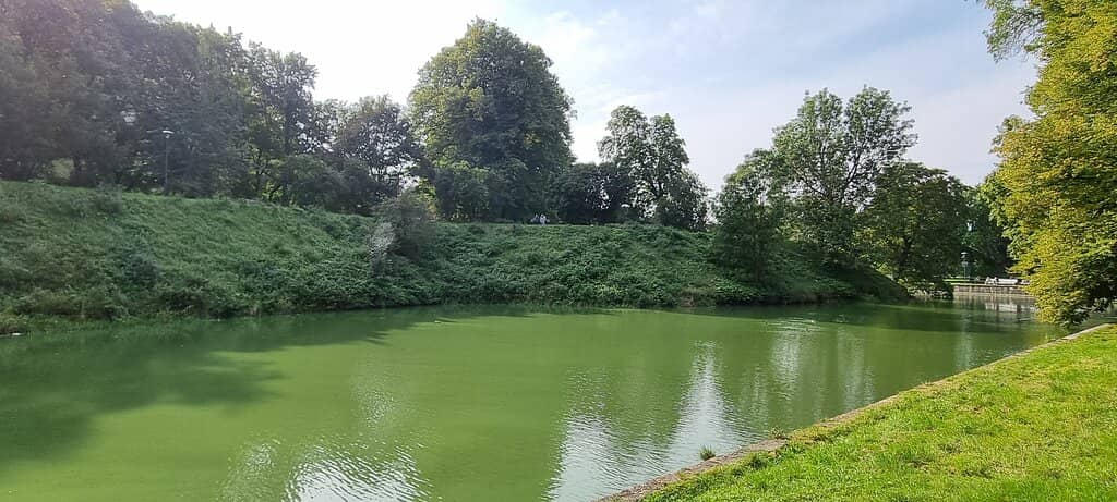 Flower Beds and Greenery
