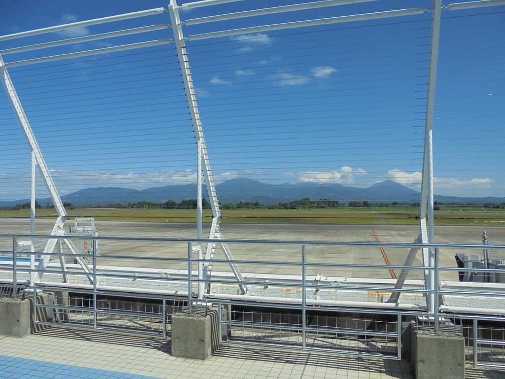 Family-Friendly Atmosphere