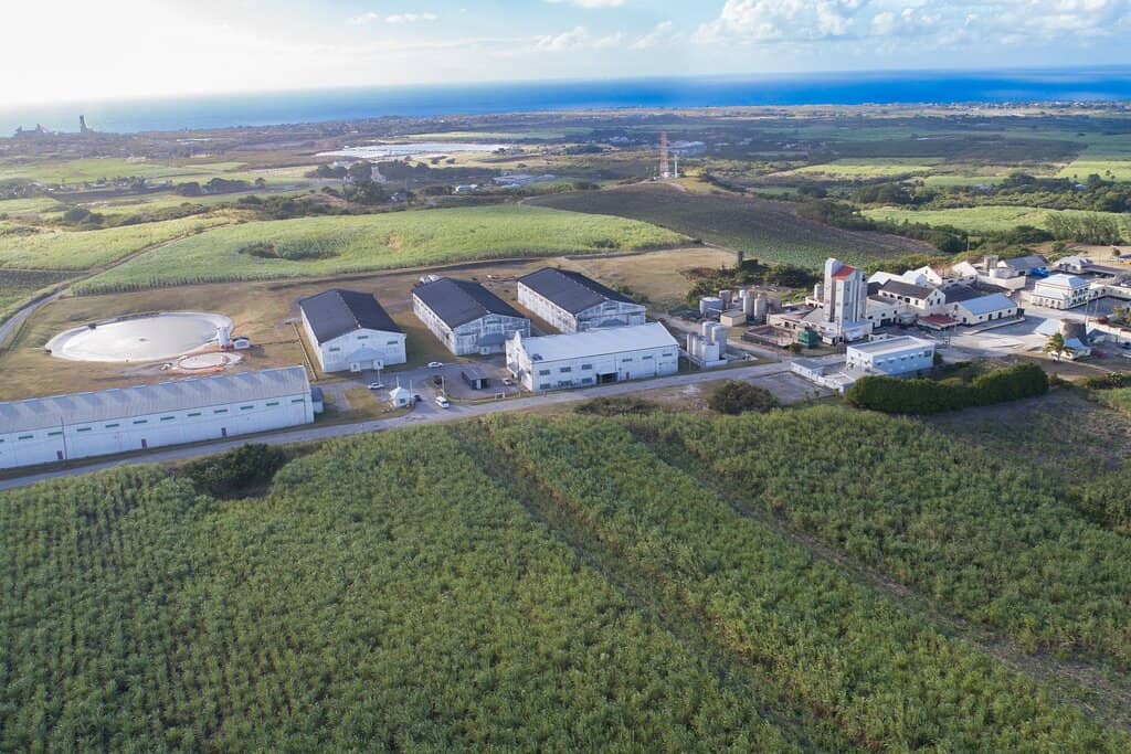 Distillery Production Tour