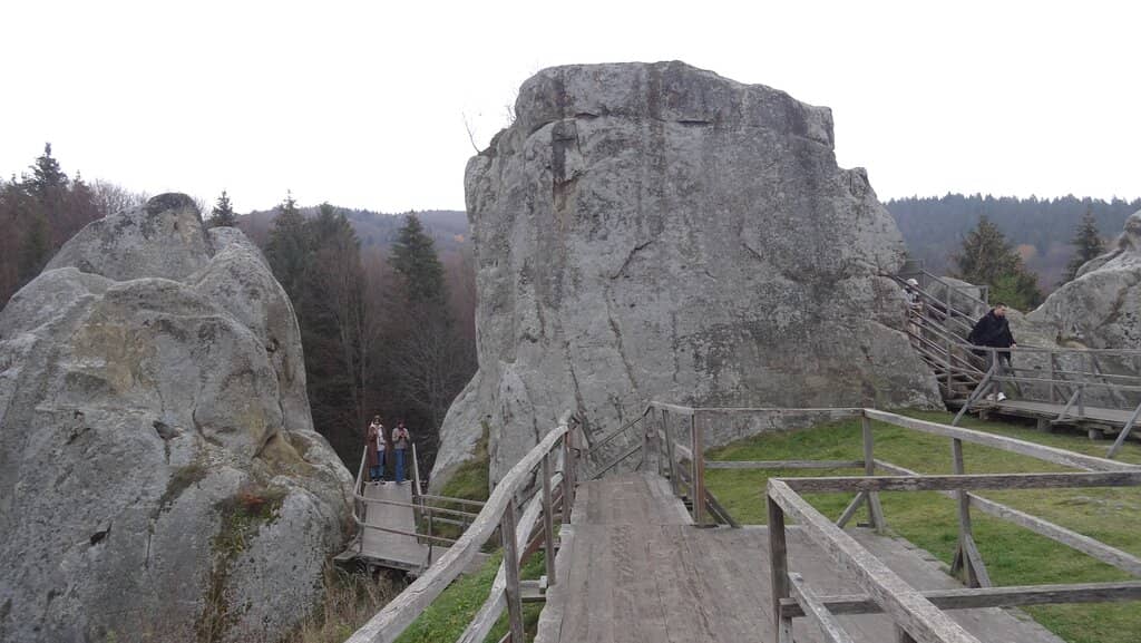 Wooden Boardwalk Trails