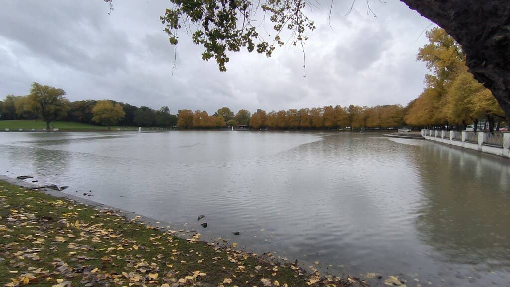 Colonius Tower Views