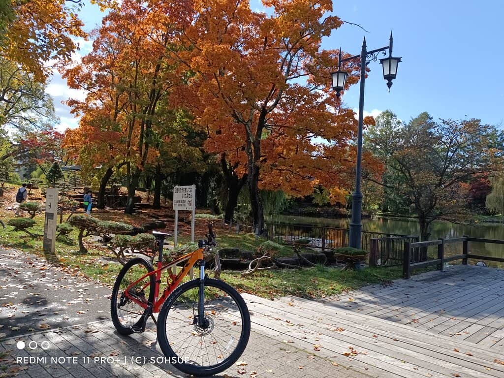 Autumn Foliage