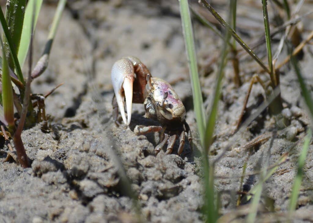 Third hero image