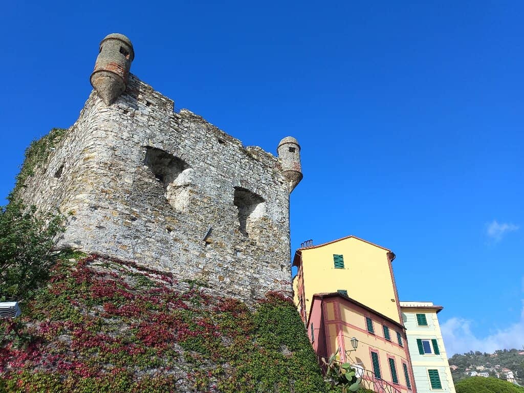 Vertical photo