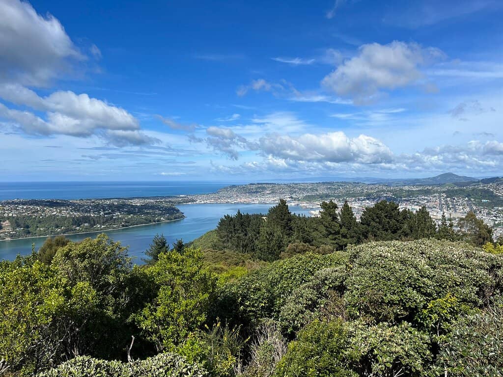 Panoramic City & Ocean Views