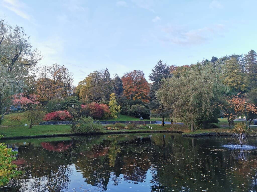 Tranquil Pond