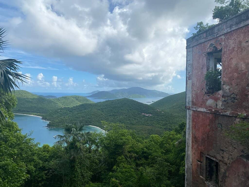 Tropical Forest Hike