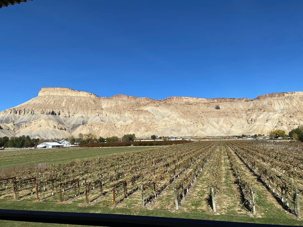 Wine Tasting Experience