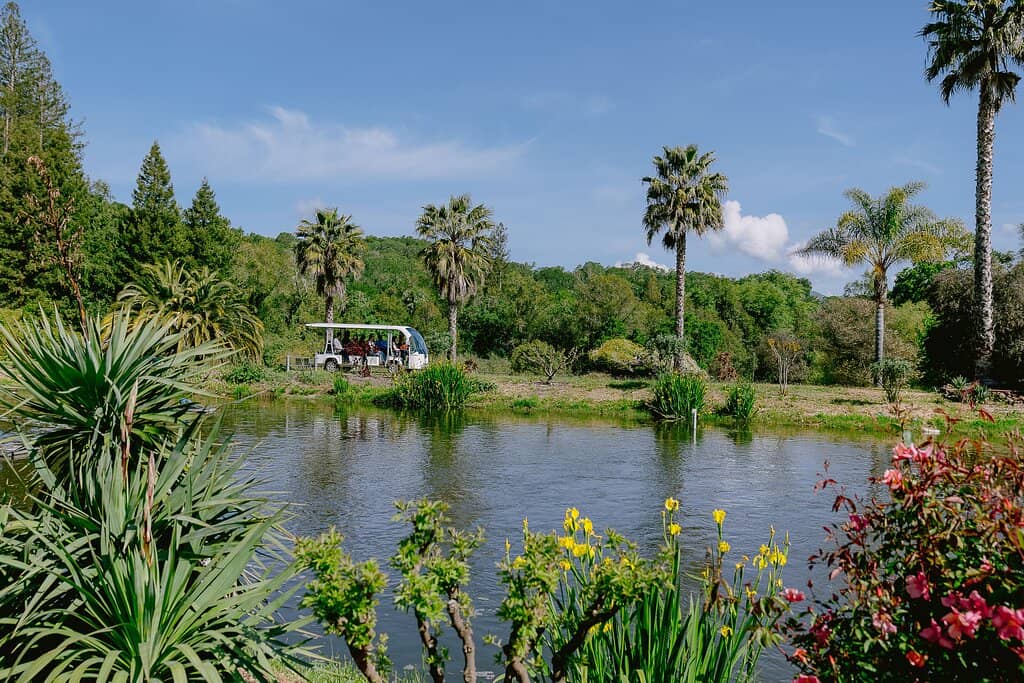 Biodynamic Tractor Tram Tour