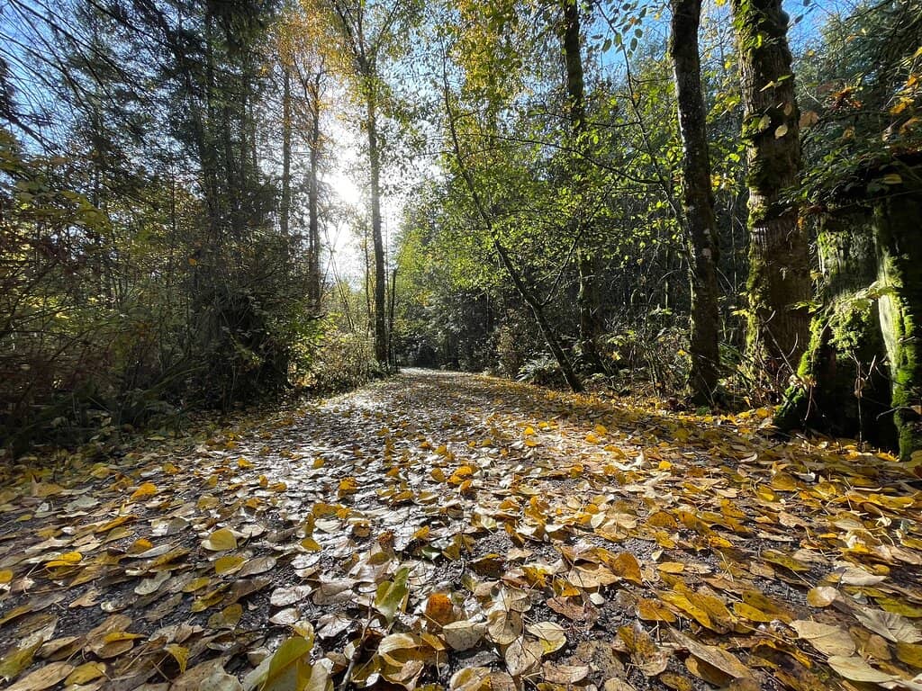 Surrey Nature Centre