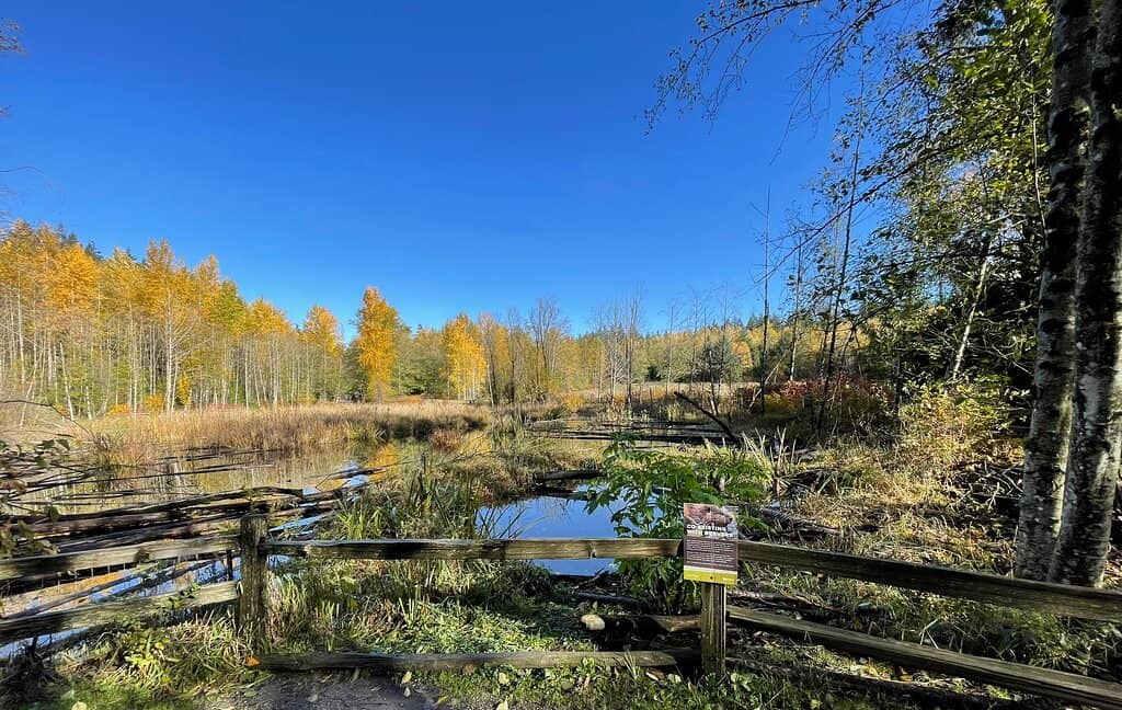 Nature Trails