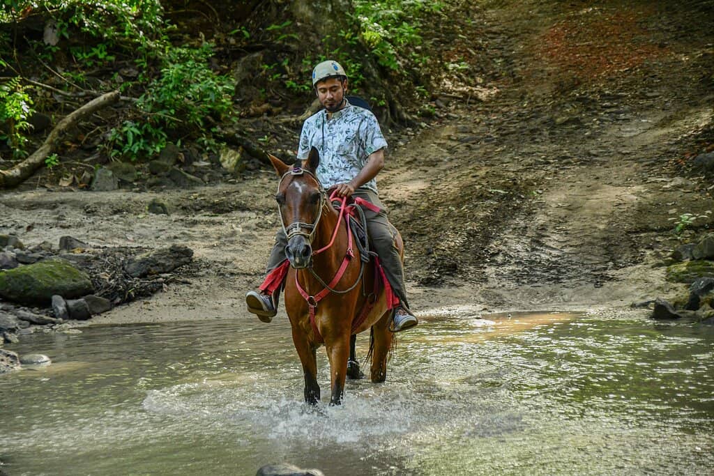 Zip-lining Adventure