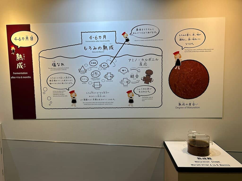 Interactive Displays