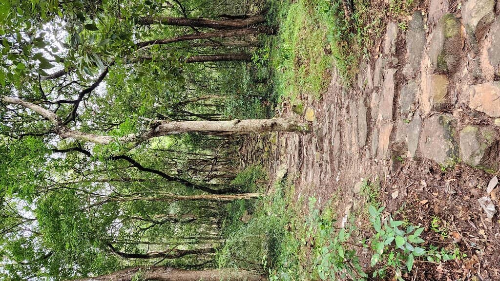 Vertical photo