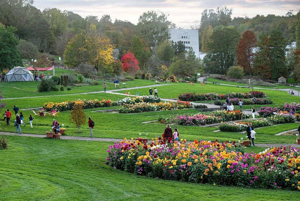 Tropical Glasshouses