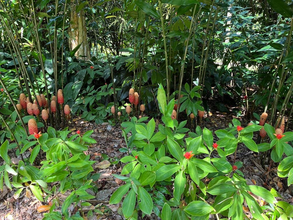 Beautiful Gardens