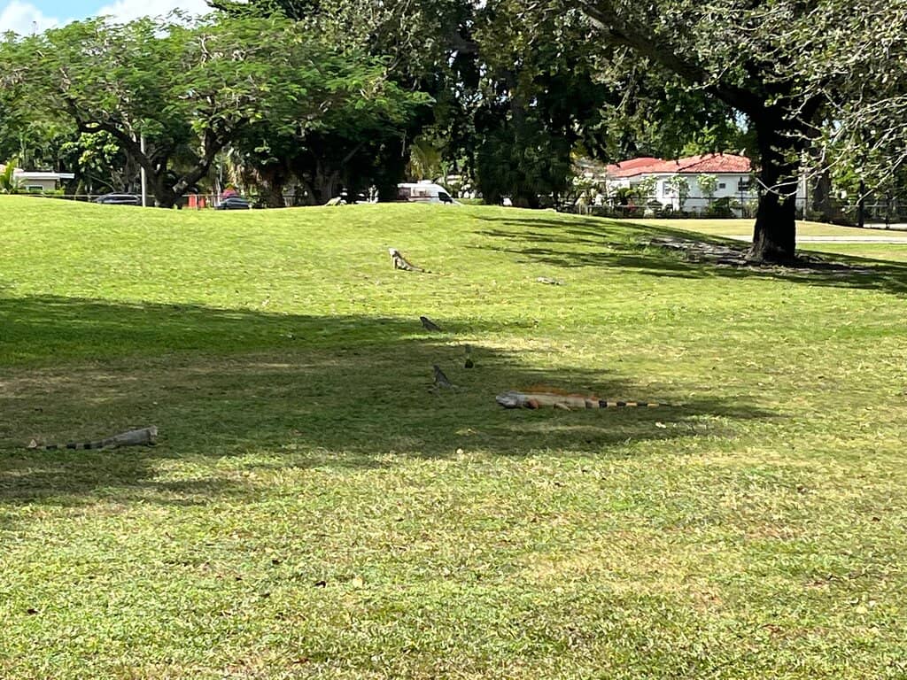 Modern Carts with GPS