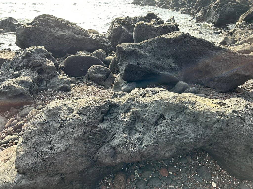 Scenic Coastal Walk