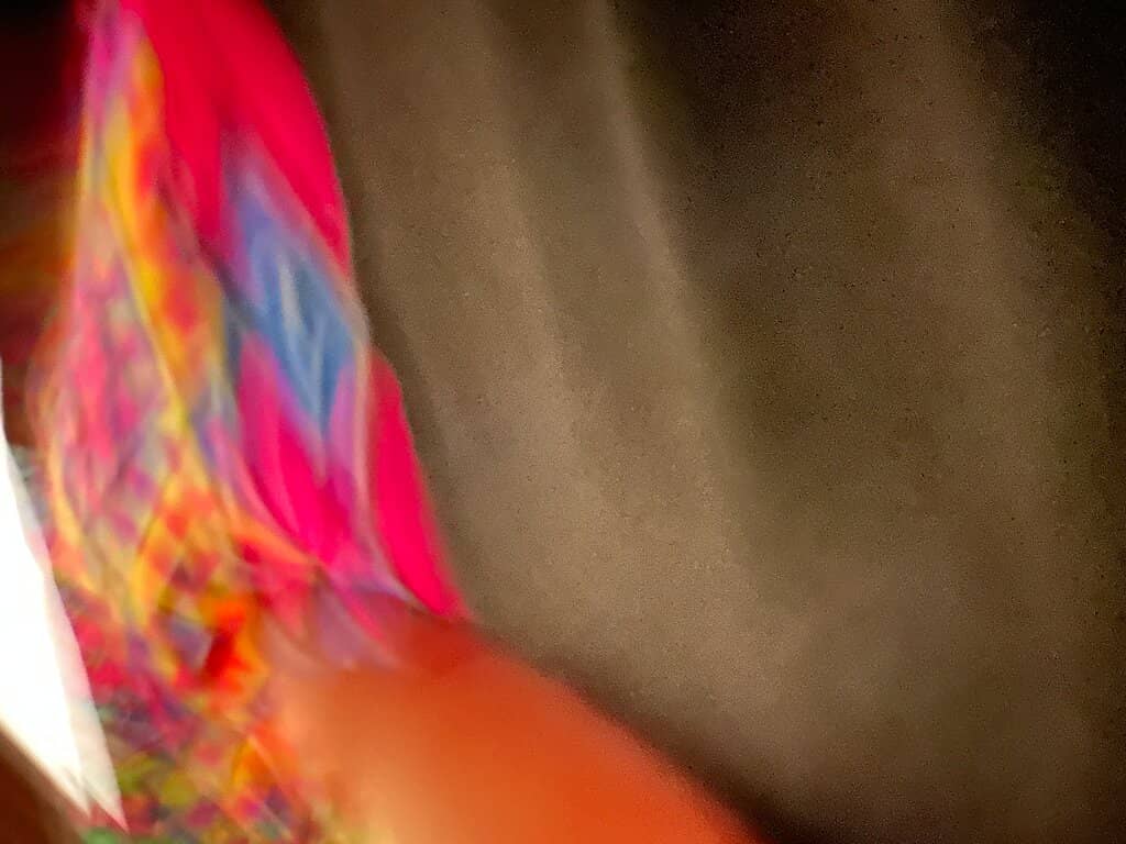 Highlights