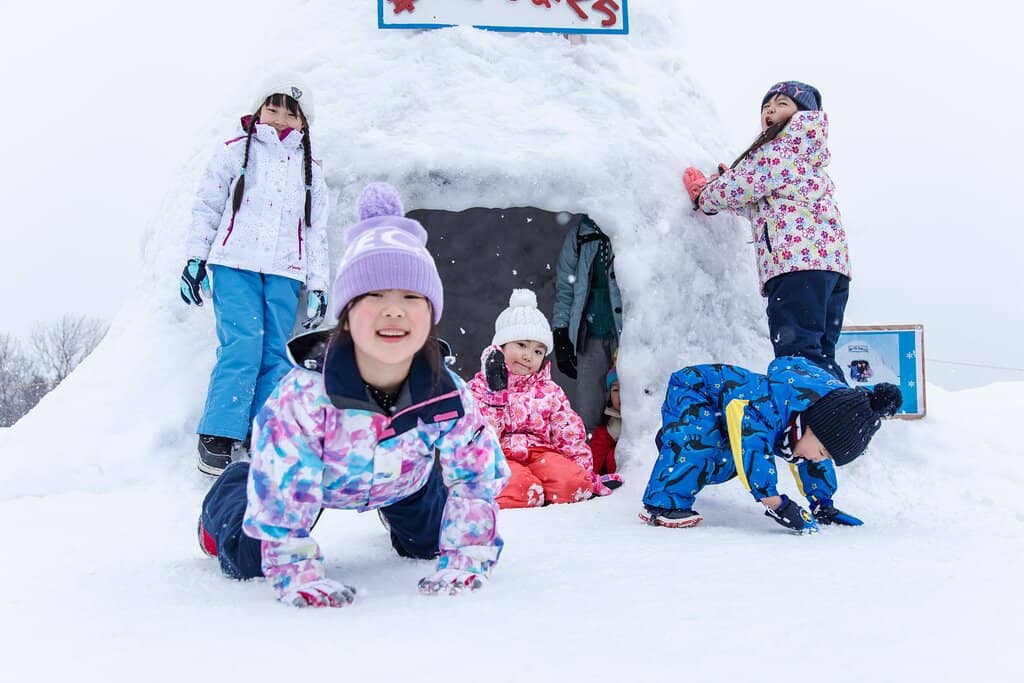 Panoramic Sapporo Views