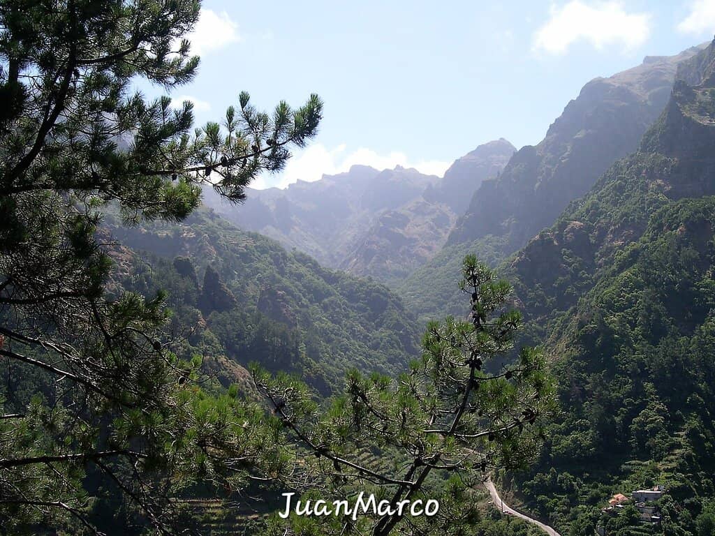Vertical photo