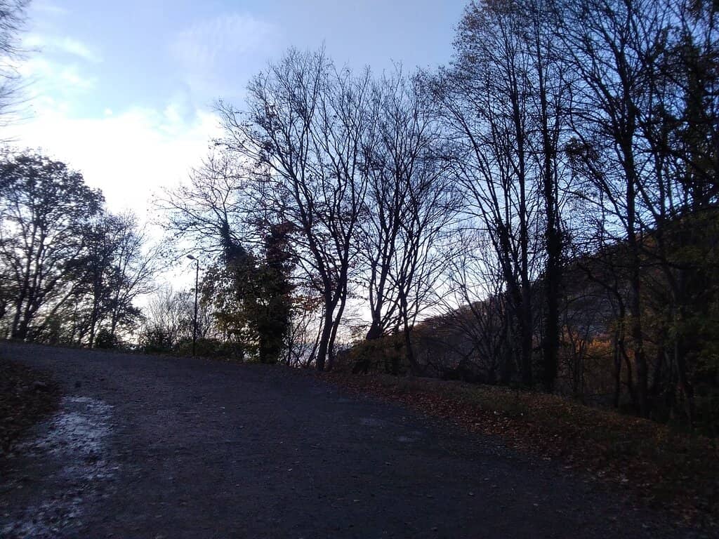 Vertical photo