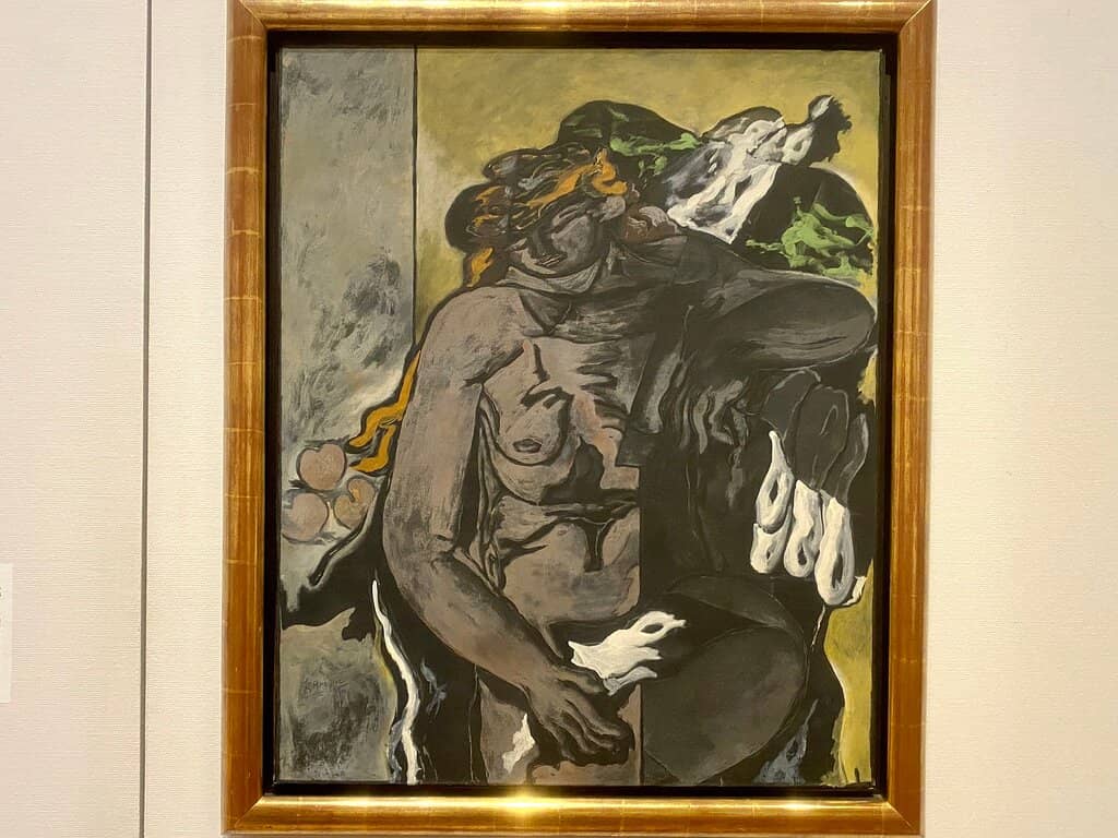 Animal Animals Animals