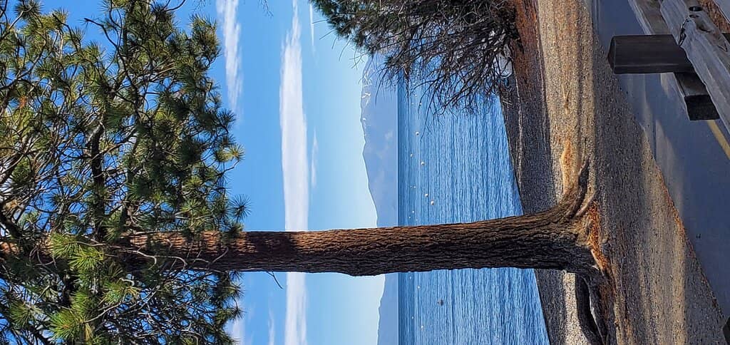 Vertical photo