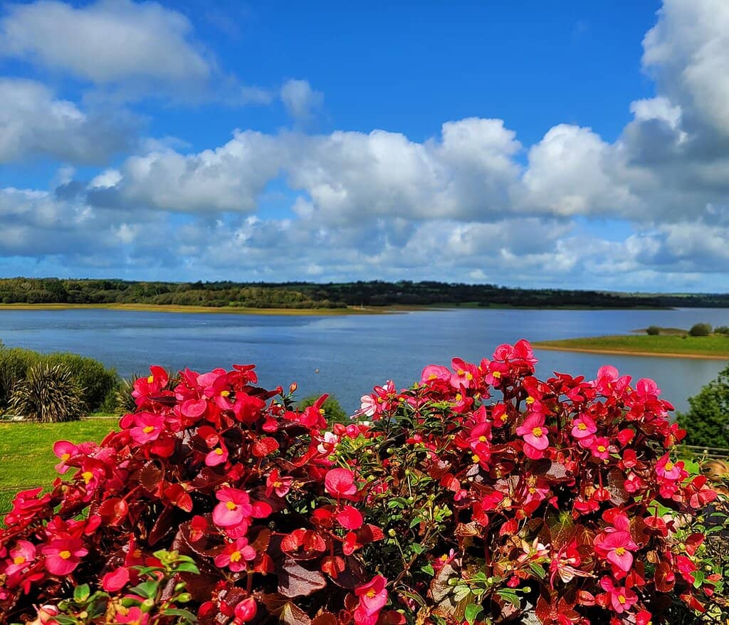 Roadford Lake Cafe