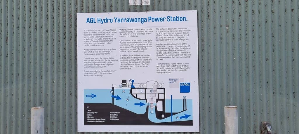 Picnic and Relaxation