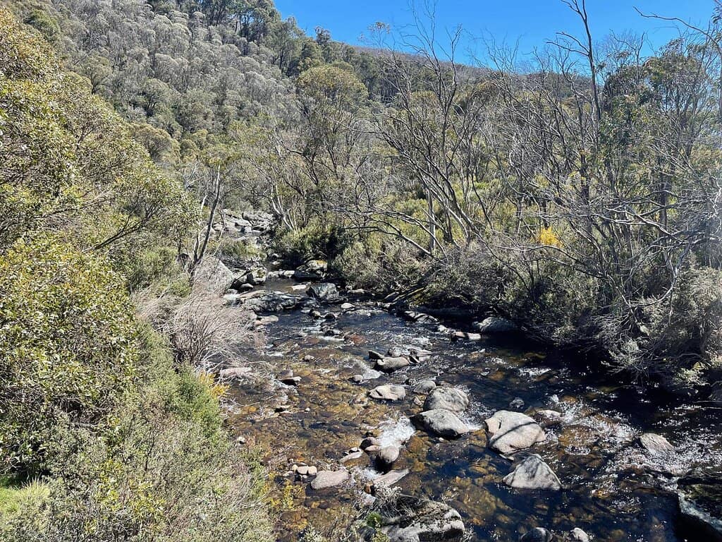 Suspension Bridges