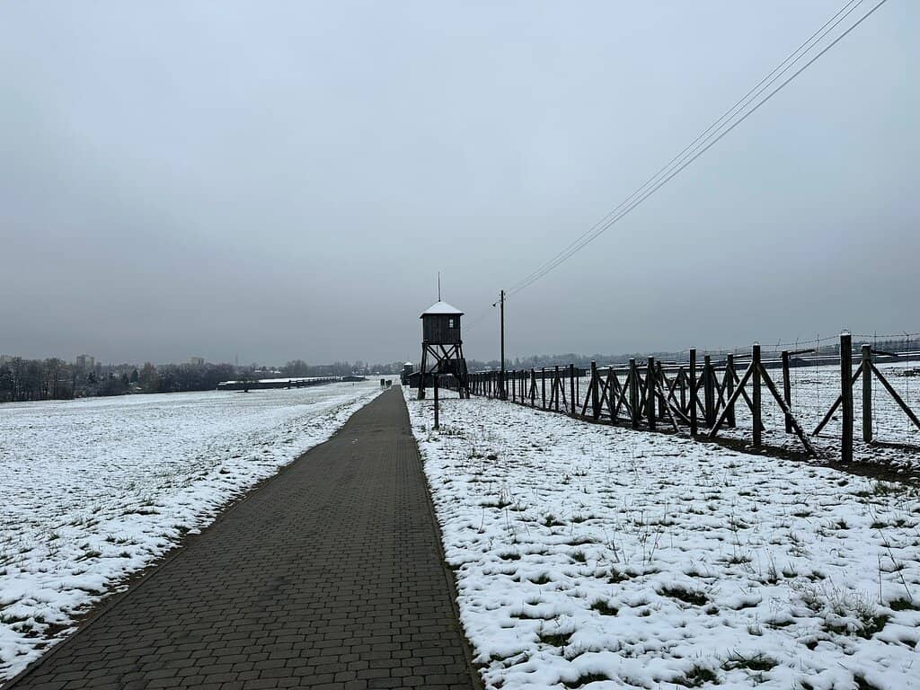 Vertical photo