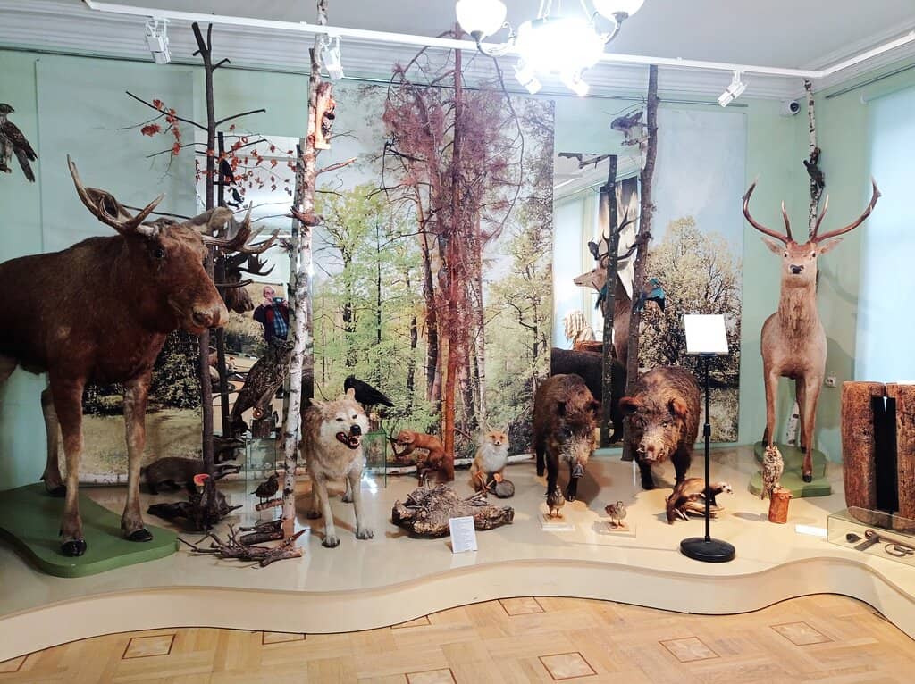 Historic Building Ambiance