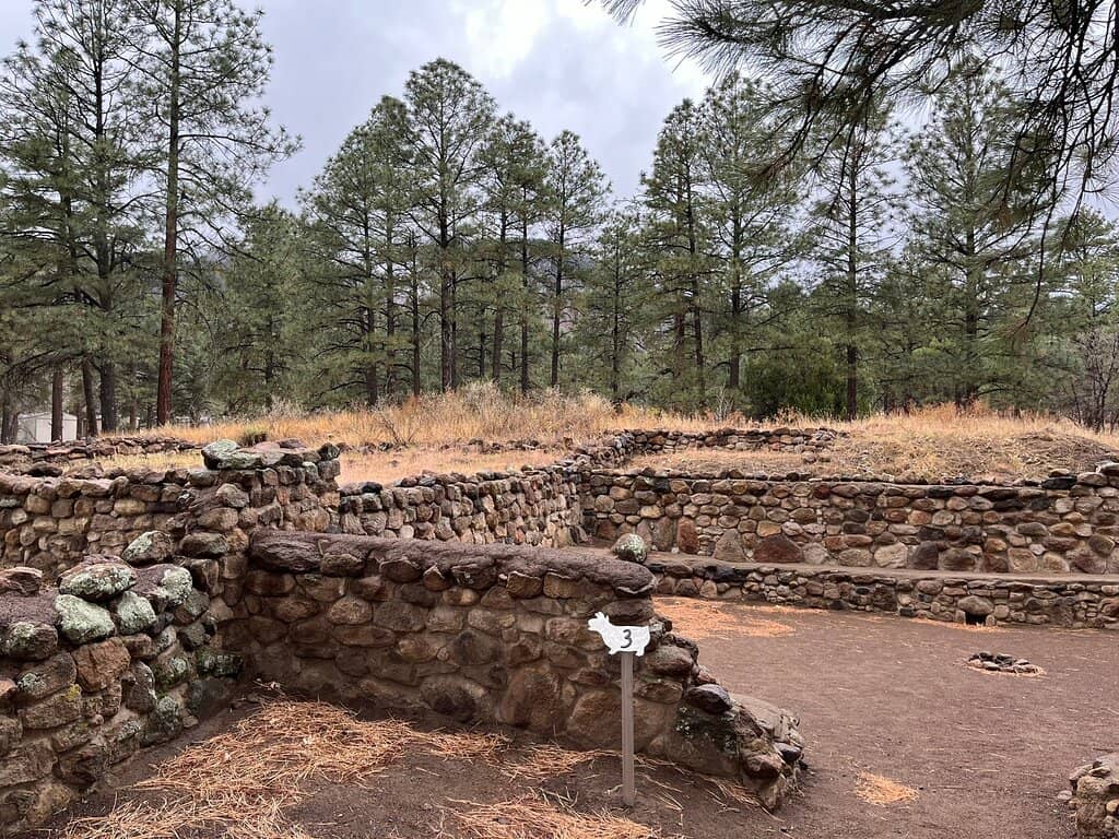 Humphreys Peak Backdrop